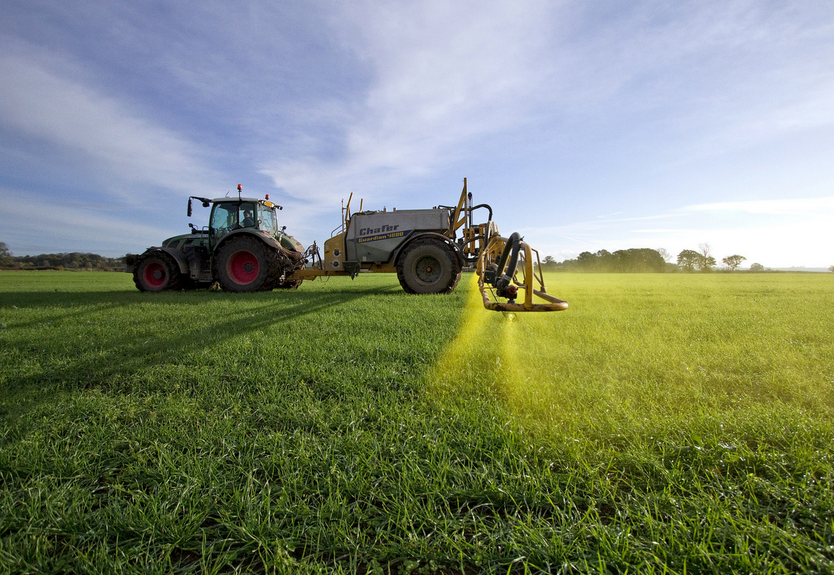 Dr. Seneff  on Monsanto Roundup® Agricultural Herbicide