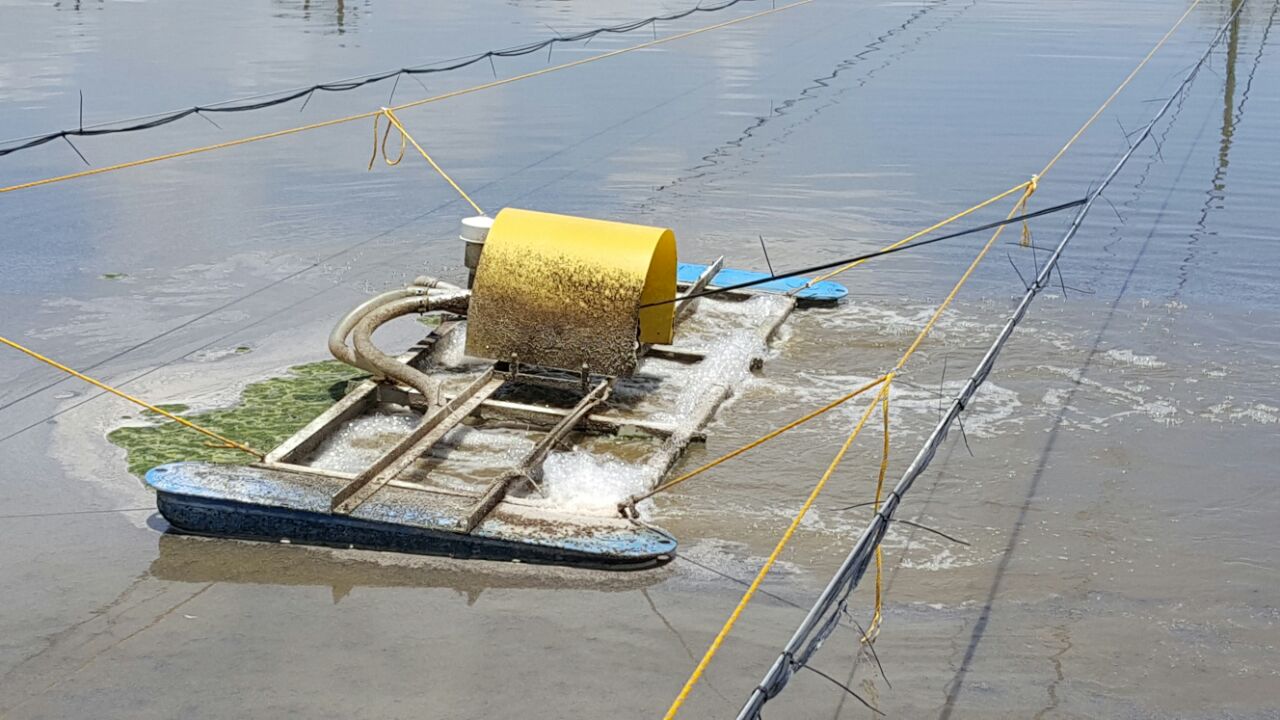 WWTP - CADECA - CHICKEN PROCESSING FACTORY