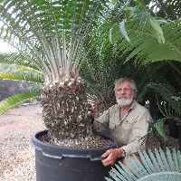 Josef perner, Managing Director. at Cycad Enterprises Pty Ltd.