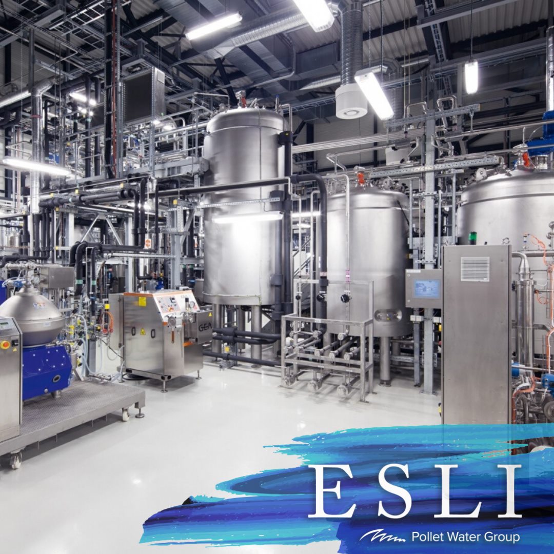 Esli Pollet Water Group