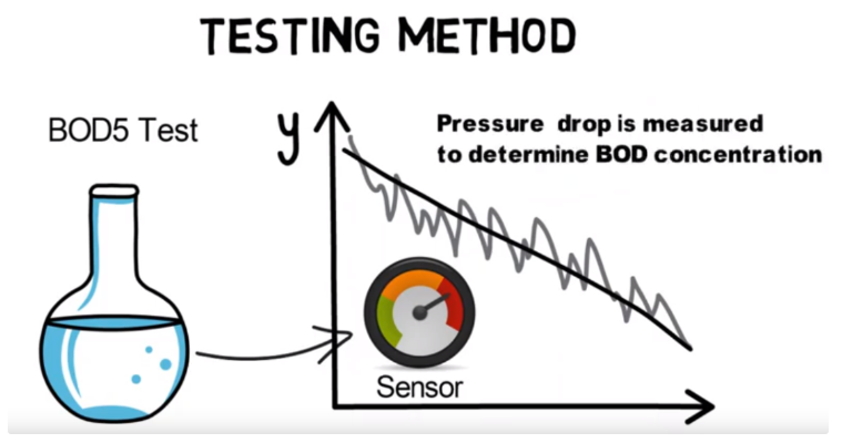 Biological Oxygen Demand - BOD, the Water Quality Indicator (Video)