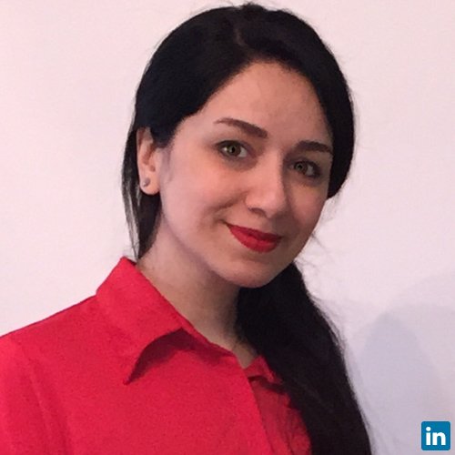 Hoda Tafvizi, Civil Eng.