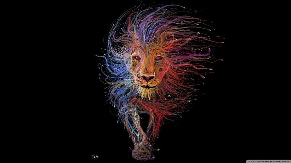 M Junaid, HANTEX (Utility's)