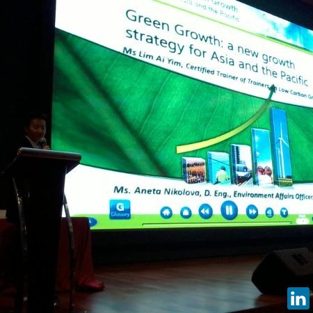 Lim Ai Yim, National Low Carbon Green Growth Champion & Independent Expert Climate Change  at INDEPENDENT EXPERTS & CONSULTANT