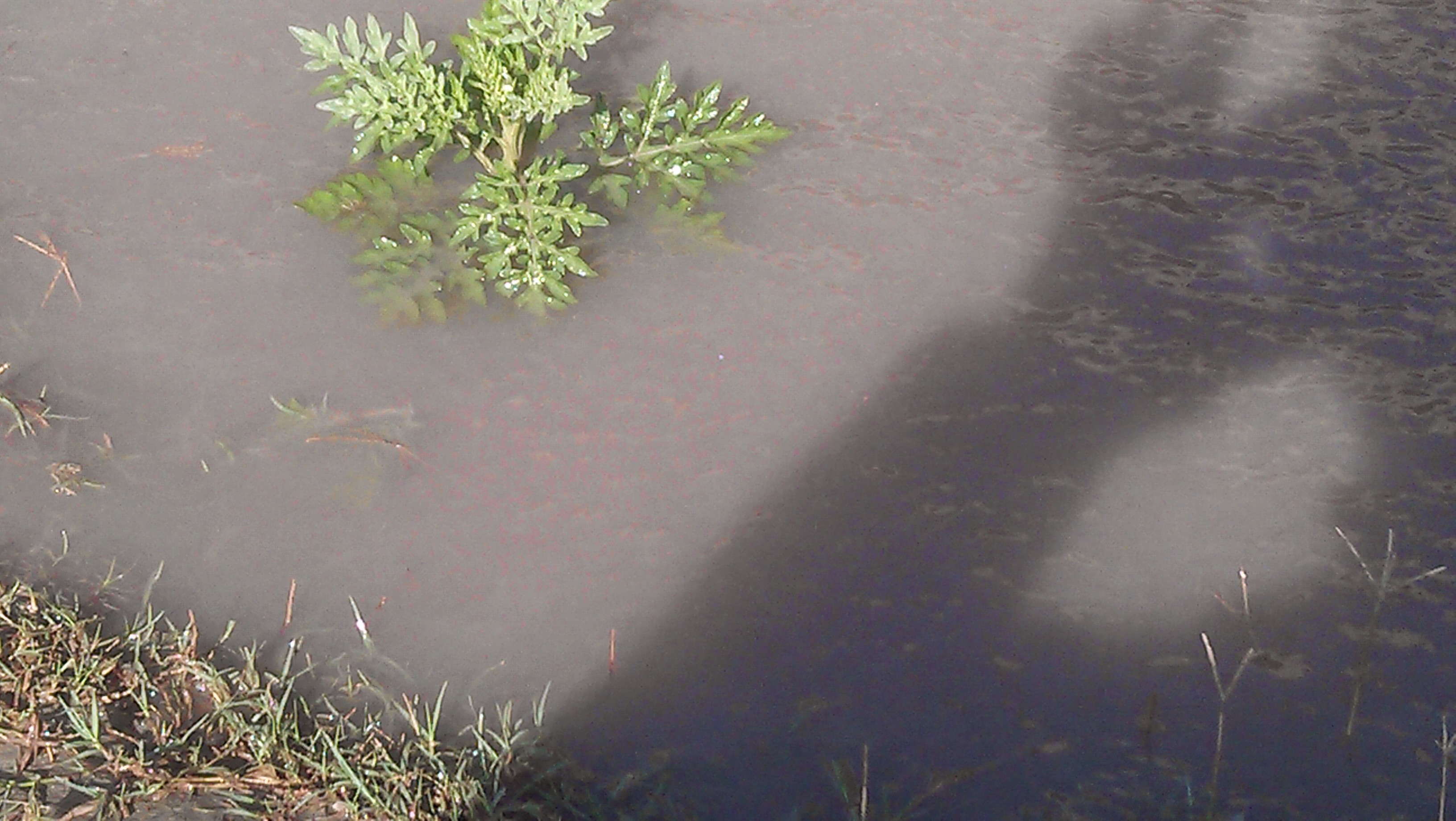 Water Pollution sources