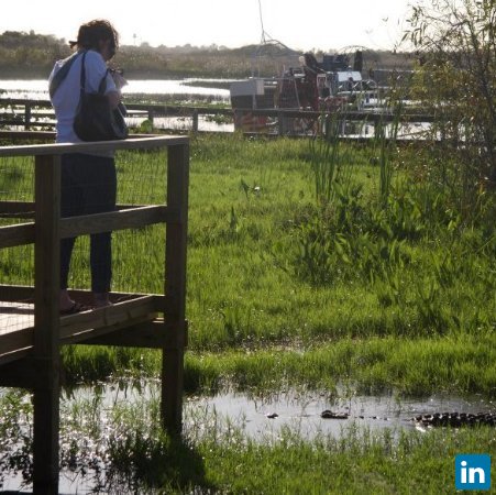 Amber Brace, Ph.D. in Ecology and Evolution