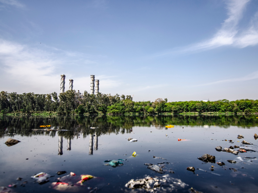 Lake & Pond bioremediation