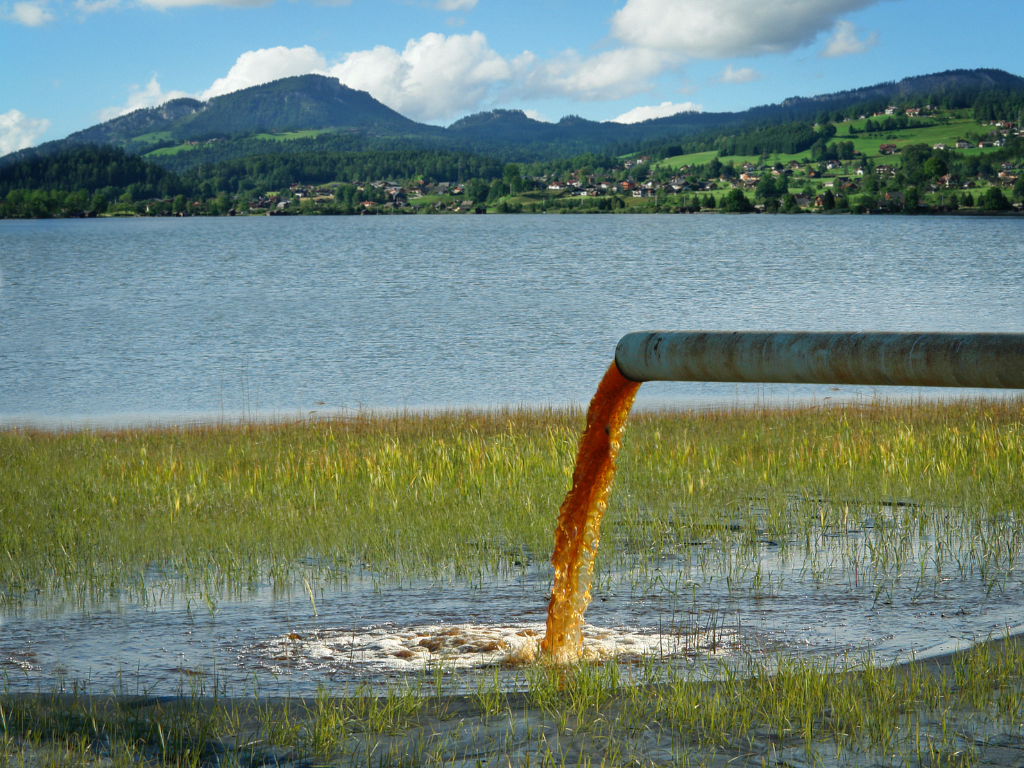Lake & Pond bioremediation