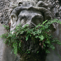 Giacomo Ghielmi, Scientific consultant at Dionea SA