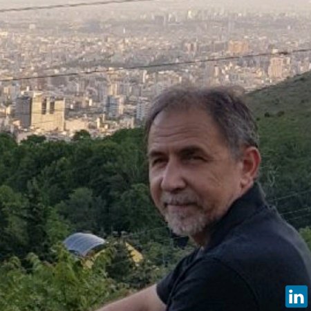 Fabio Grita, Consultant - Geospatial Information Systems Management