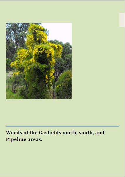 Various Plant Field guides.