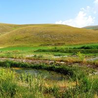 FRB CW for treatment of WW of Castelluccio di Norcia
