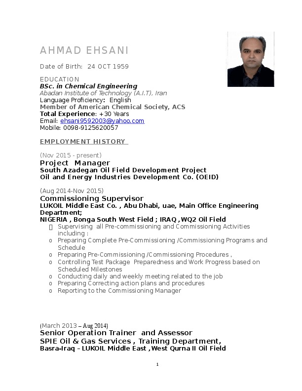 Ahmad Ehsani, Chemical Process Engineer