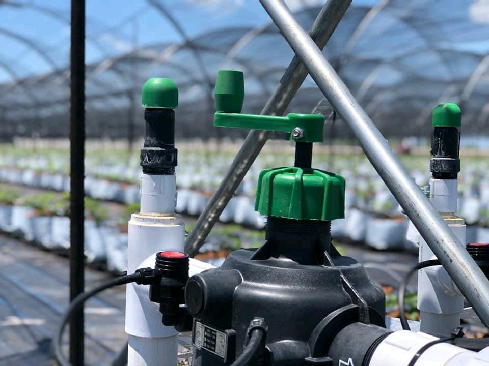 Water in irrigation infrastructure