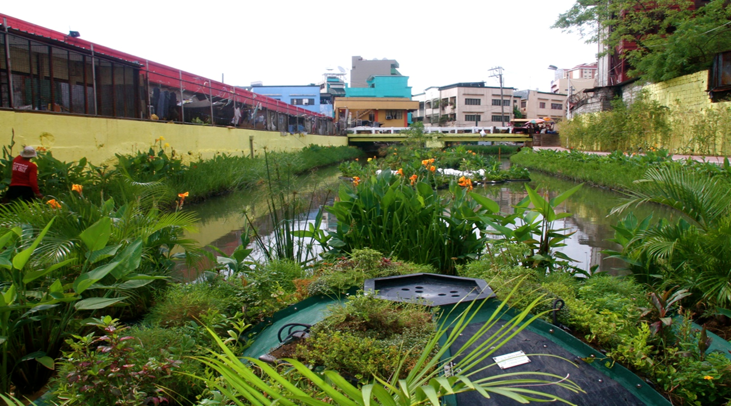Floating ecosystems