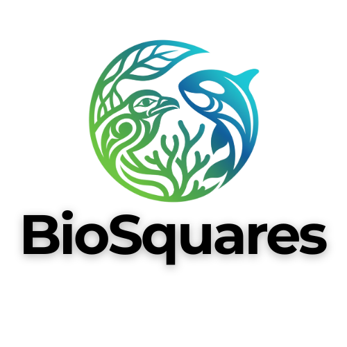BioSquares