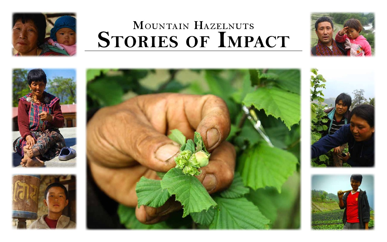 Daniel Spitzer, Chairman & CEO at Mountain Hazelnuts Group Limited