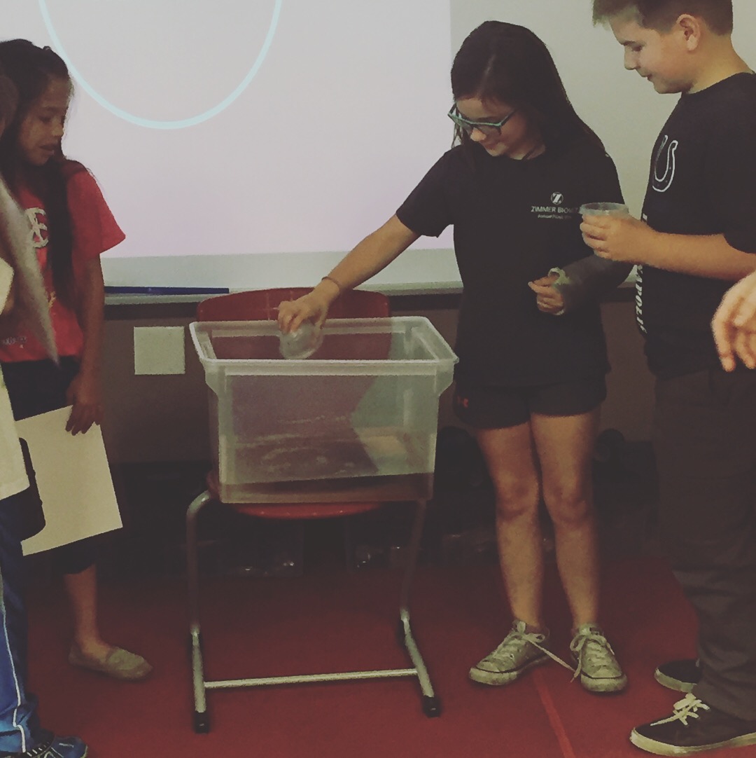 City of Warsaw Stormwater Utility Education