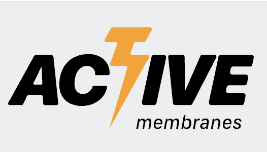 Active Membranes