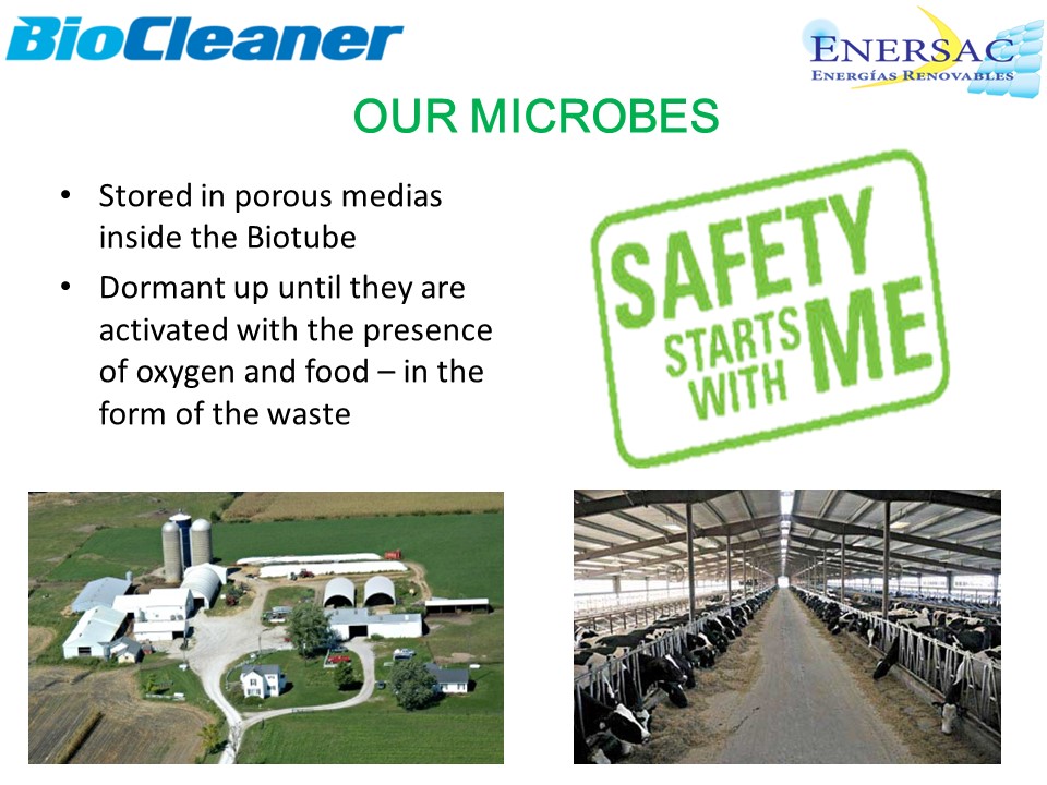BIOCLENAER - DAIRY INDUSTRY