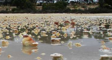 Acid Saline Groundwaters of Western Australia
