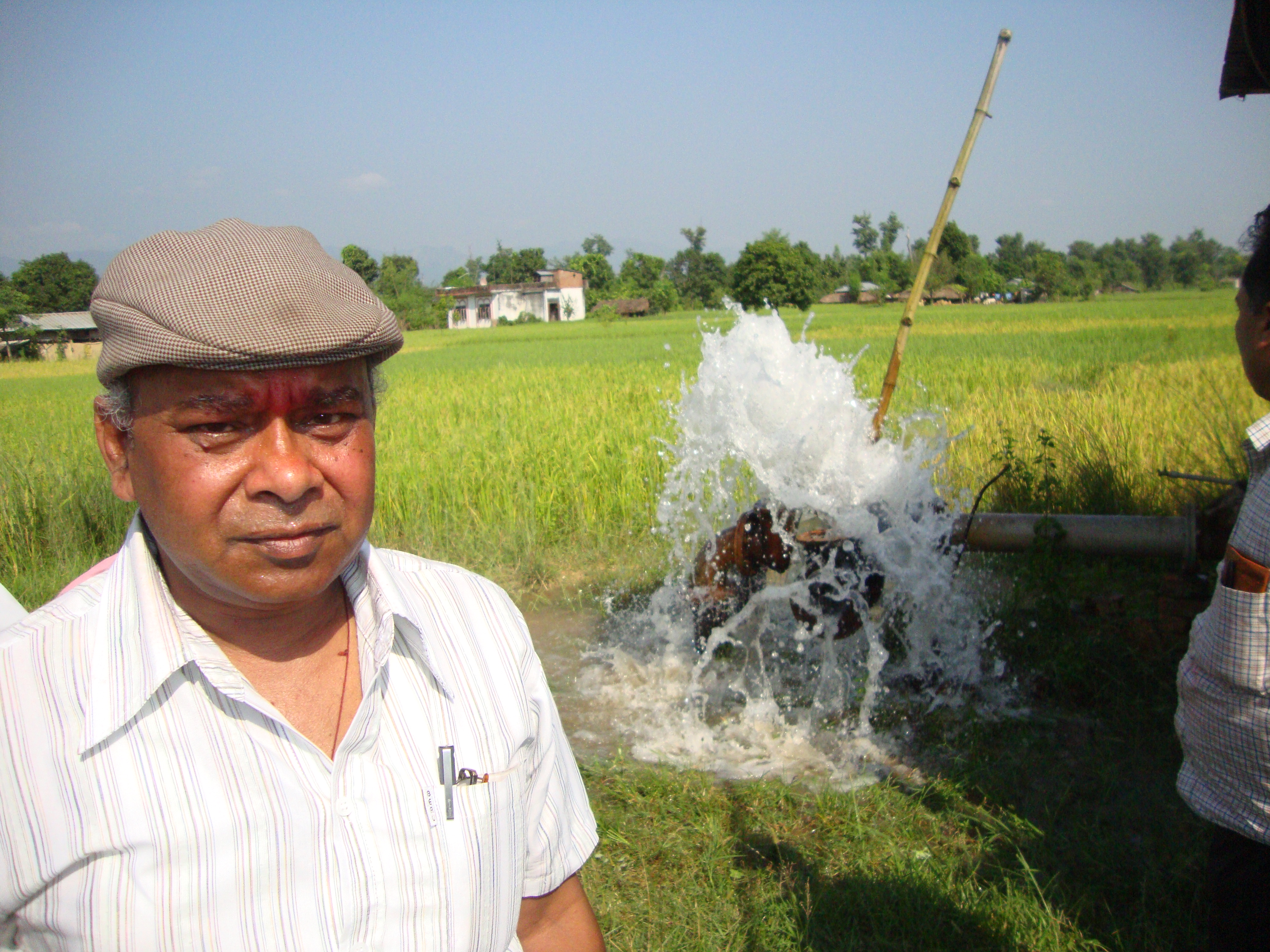 Satya Narayan Mandal, Freelancer - Consultancy