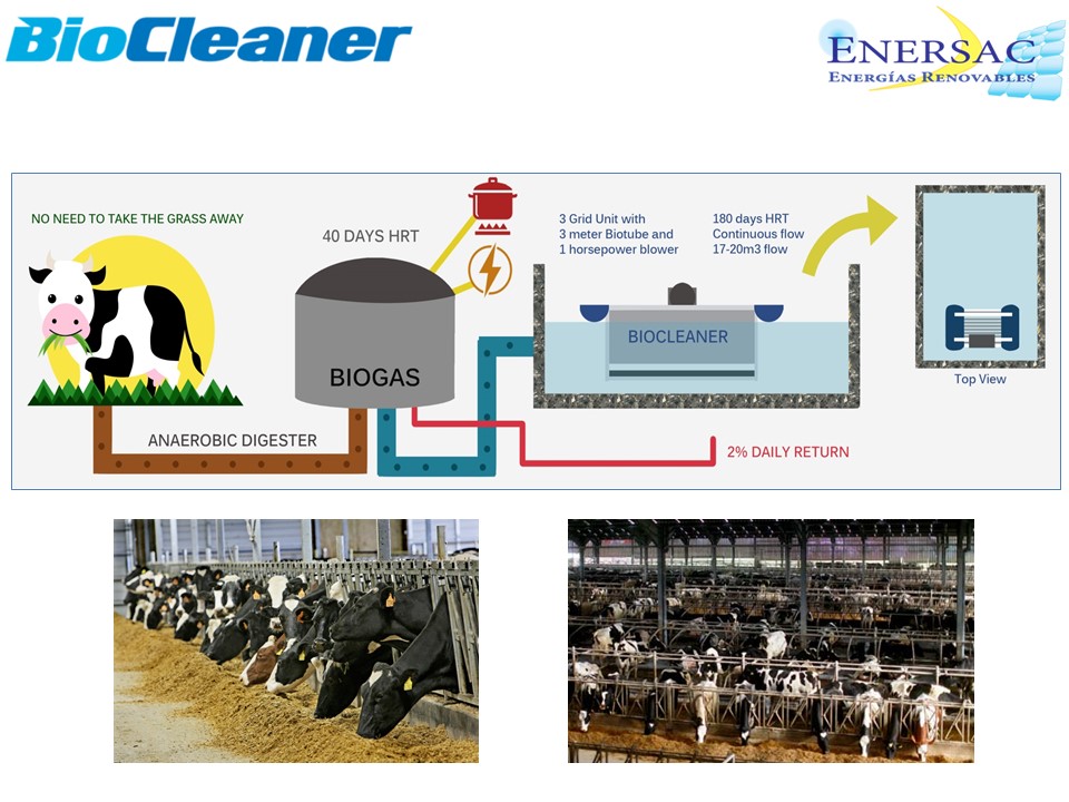 BIOCLENAER - DAIRY INDUSTRY