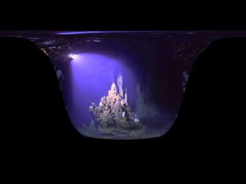 Explore Hydrothermal Vents in Virtual Reality