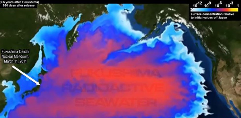 Fukushima Across the Pacific