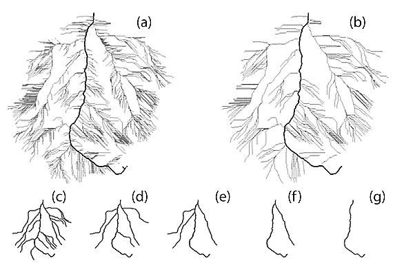 Chandana Gangodagemage, Los Alamos National Laboratory - Researcher 