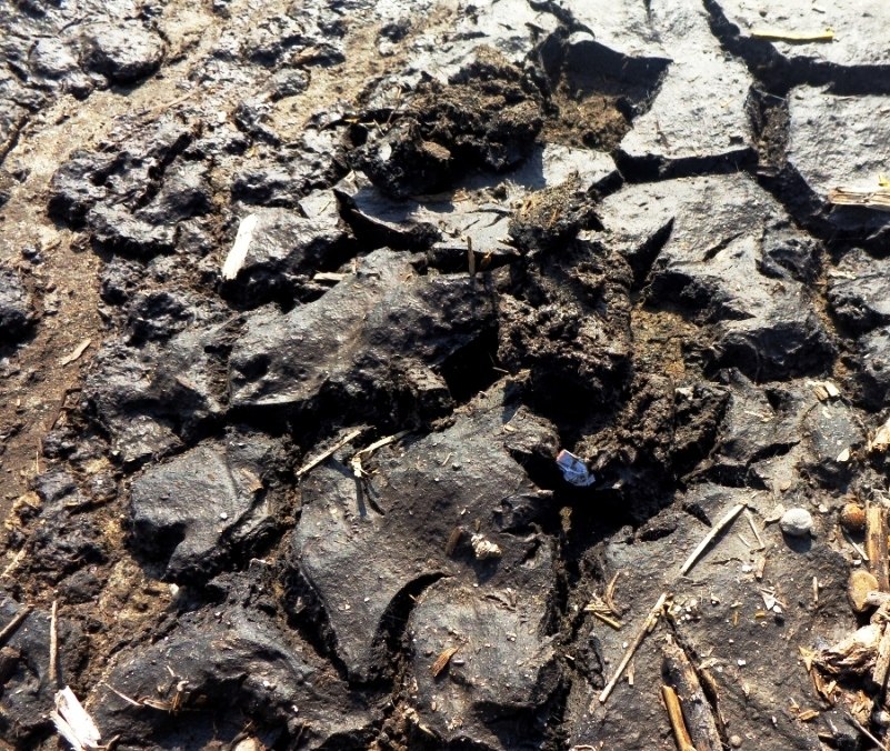 Sludge rapid dewatering technology large-scale testing