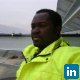 adedeji oluyinka, Citygreen Solution Limited - Consultant