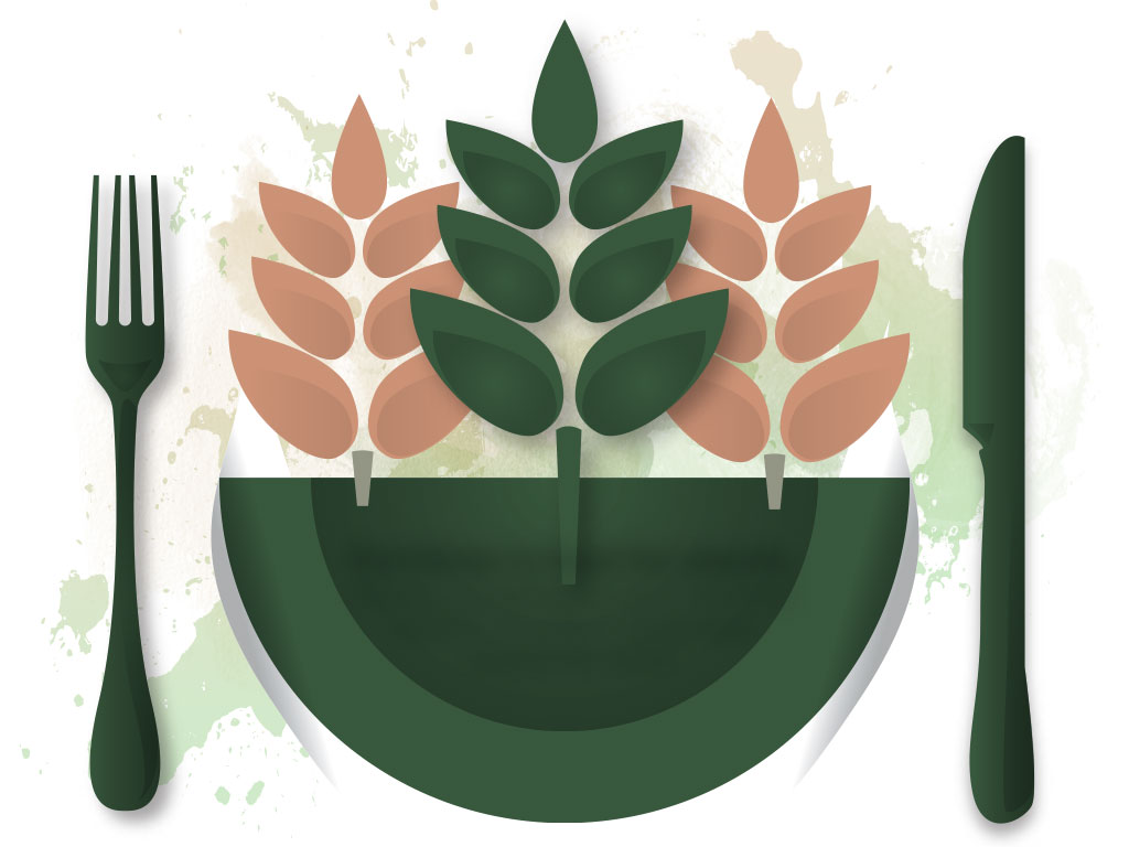 How Fertiliser Helped Feed The World