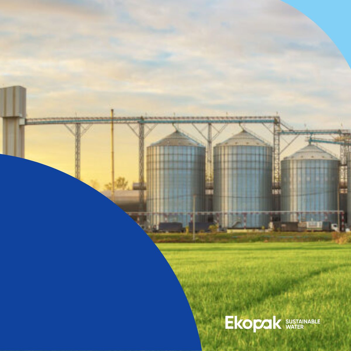 Green energy and biogas valorization