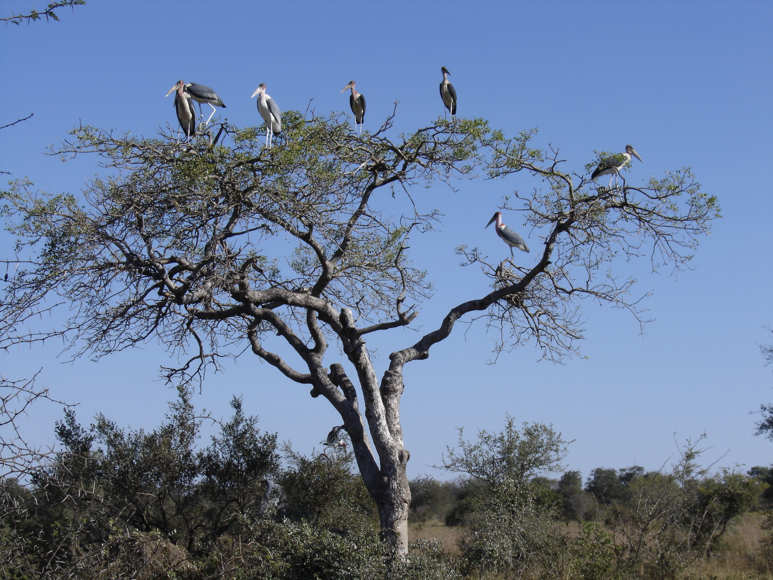 Solid waste management in Protected Areas South Africa