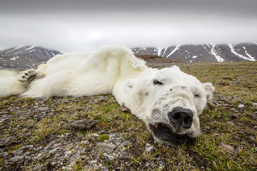 Images From a Warming Planet