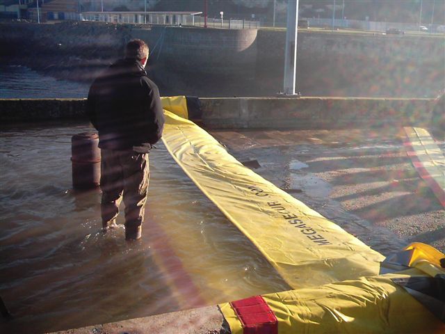 Flood Protection with the Water-Gate
