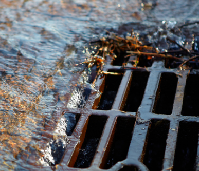 What are ​Dominant ​Sources of Urban Water Pollution?