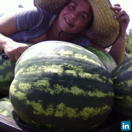 waldos farm, company owner at waldo' farm