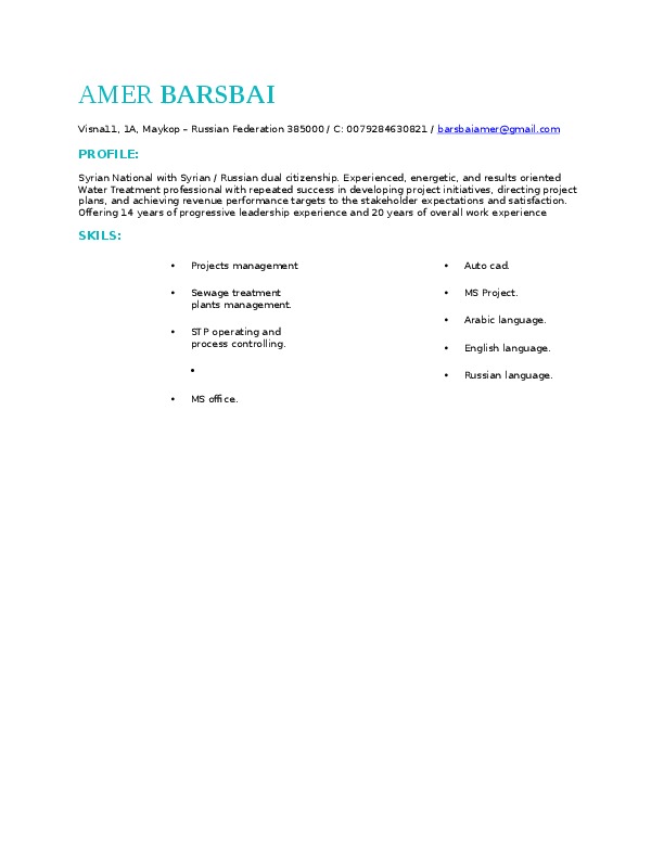 Amer Barsbai, Freelance Consultant at Consultant