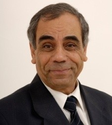 Salah Arafa Mohamed Smarafa, Professor at American University in Cairo