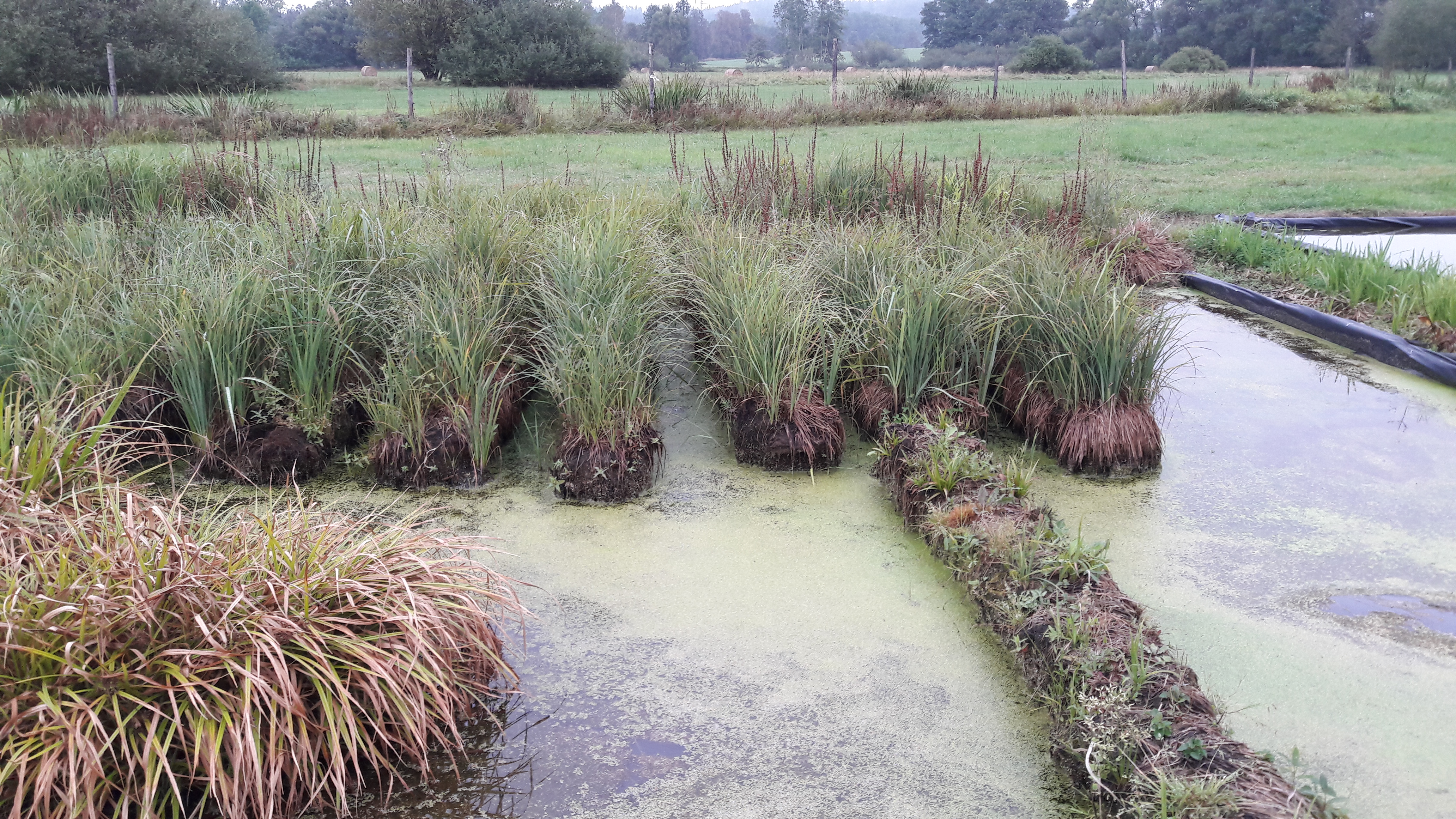 Coir Products