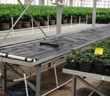 WaterPulse's Irrigation System Cuts Water Use