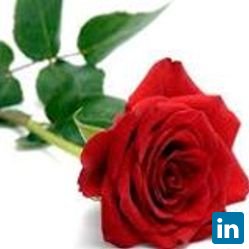 Poonguzhale Velayutham, Asst.Professor, Dept of Civil Engg.