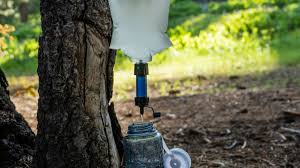 Gravity Water Filtration System: A Simple, Non-Electric Way to Clean Drinking Water
