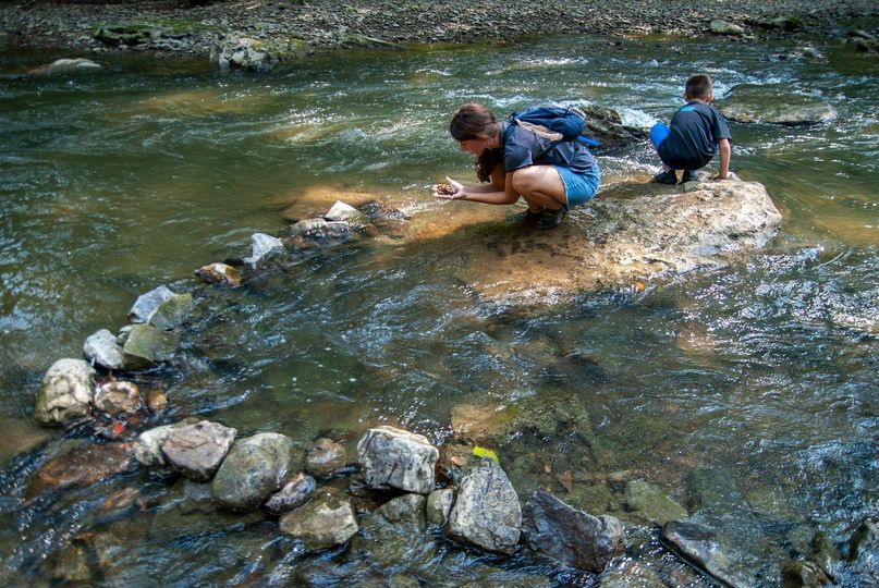 It has been said that a picture is worth a thousand words, and I'm now certain that I have found the photos that inspired my lovely wife Nancy W...