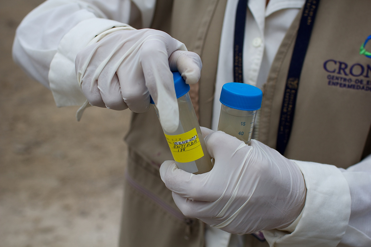 Chicken Coops, Sewage Treatment Plants are Hot Spots of Antibiotic Resistance