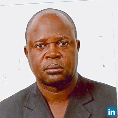 Delphin Tshimena, Senior Mining Consultant chez B&E Europe