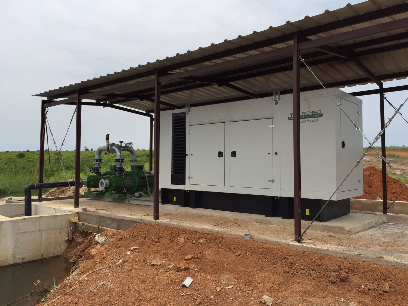 Angola waterplant