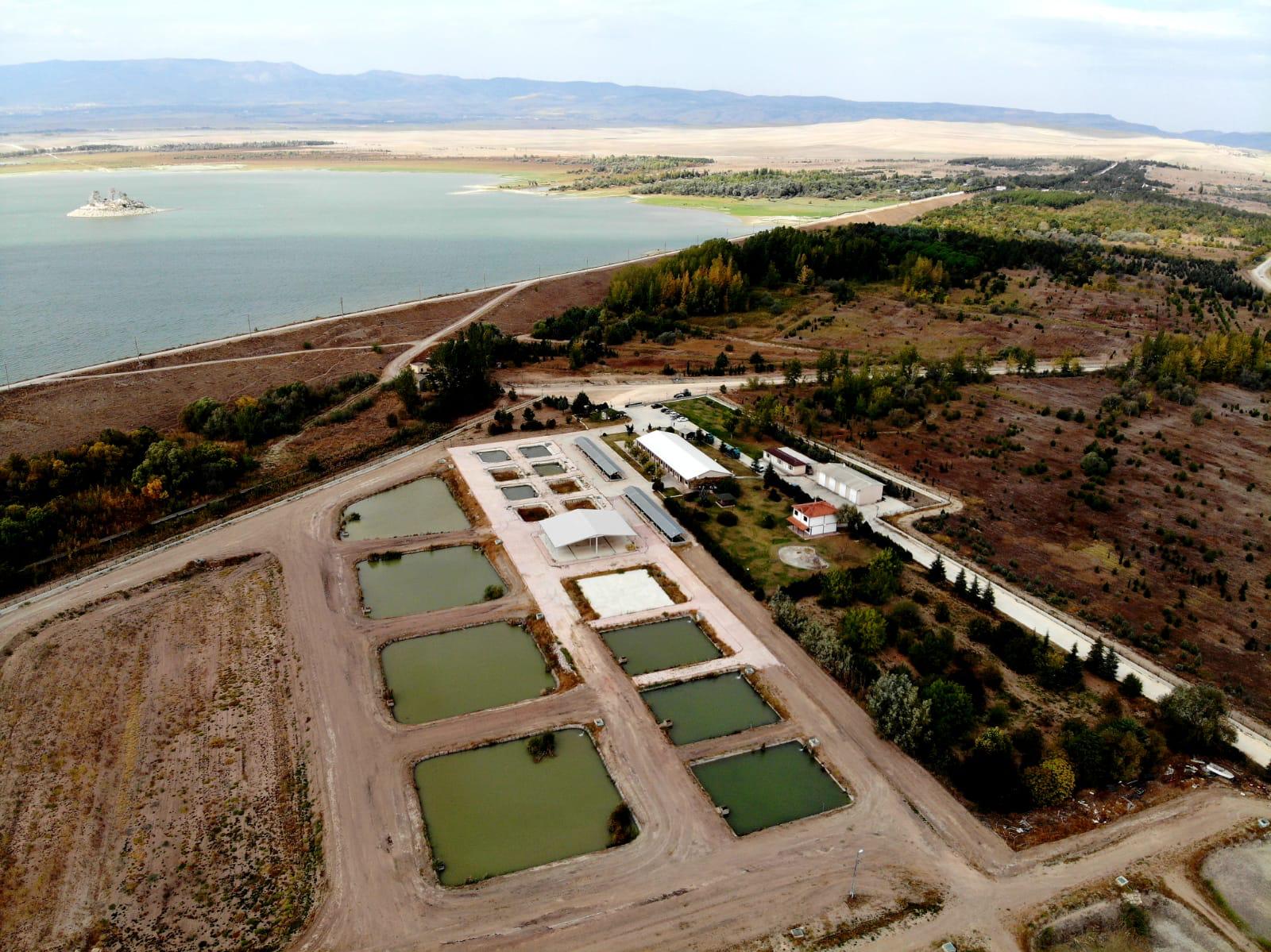 DSI Yedikır Balık Üretim Tesisleri